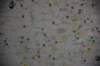 dsc_0957_small.jpg