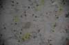 dsc_0958_small.jpg