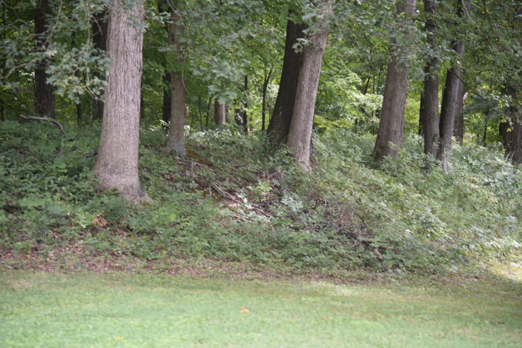 dsc_0962.jpg