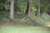 dsc_0962_small.jpg