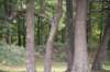 dsc_0963_small.jpg