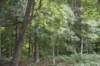dsc_0964_small.jpg