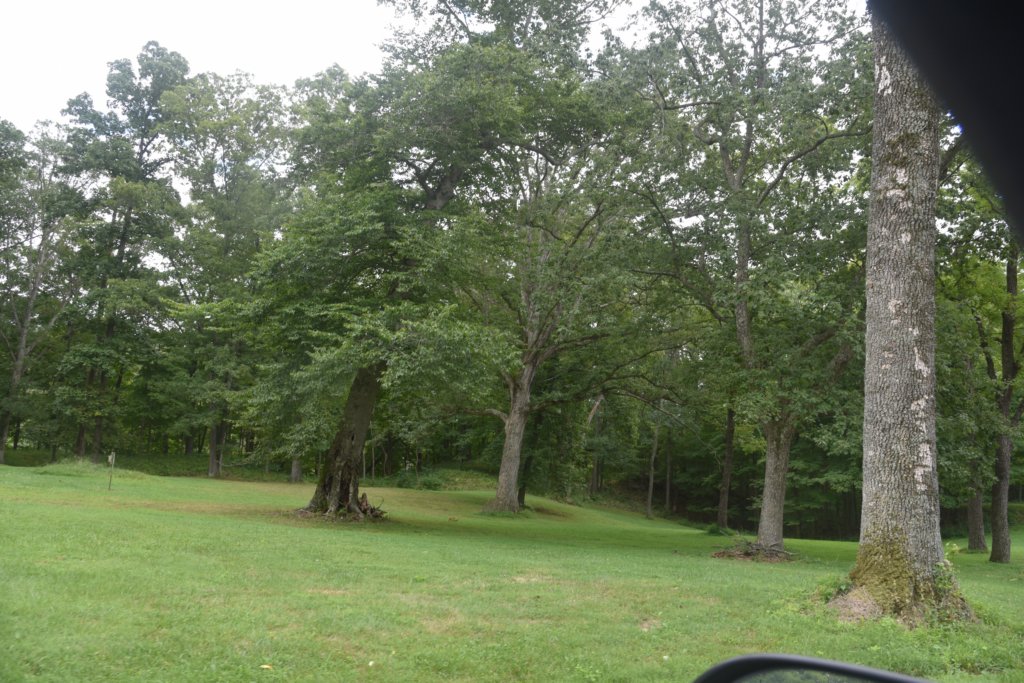 dsc_0969.jpg