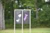 dsc_0970_small.jpg