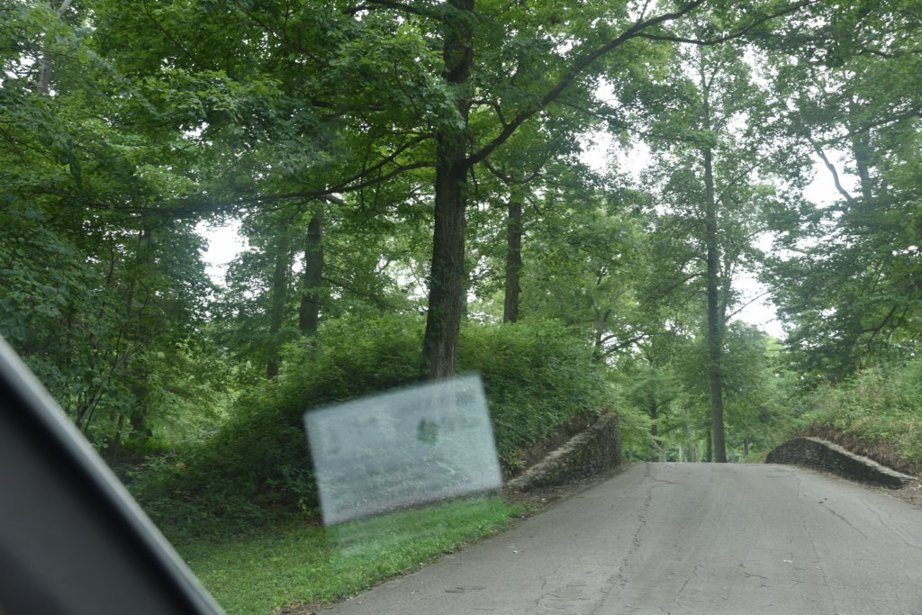 dsc_0971.jpg