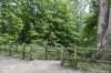 dsc_0992_small.jpg