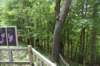 dsc_0996_small.jpg
