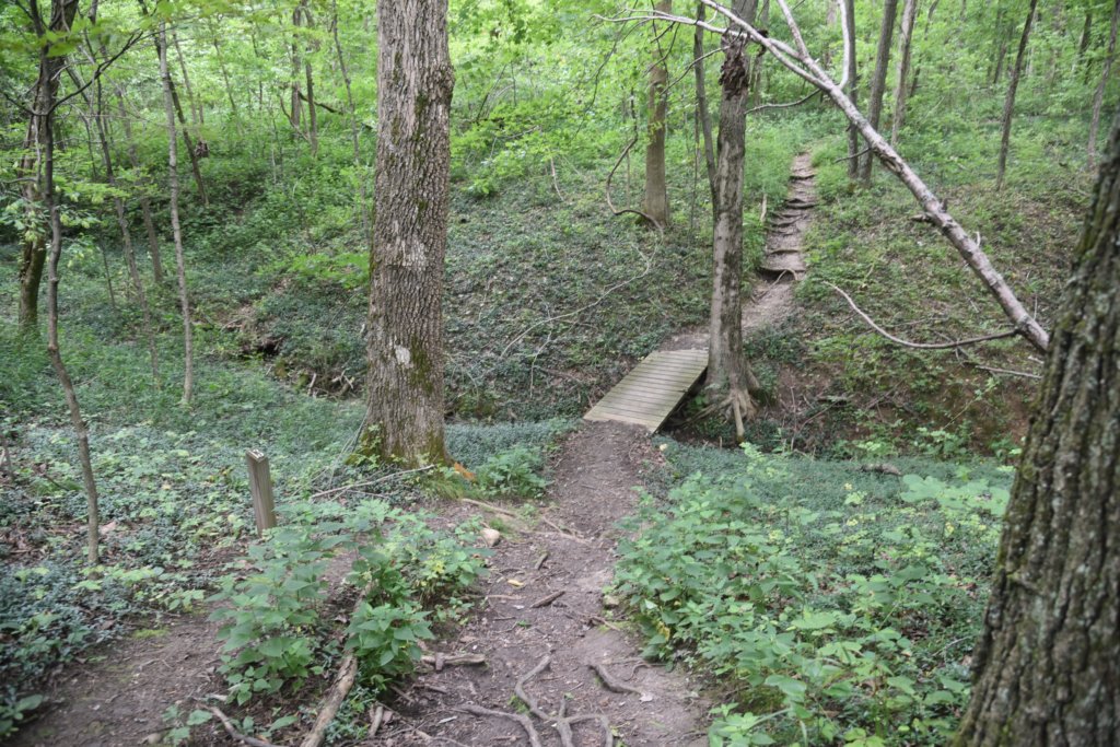 dsc_1012.jpg