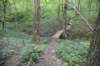 dsc_1012_small.jpg