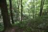 dsc_1019_small.jpg