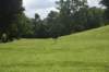 dsc_1100_fs_small.jpg