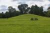 dsc_1101_fs_small.jpg
