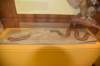dsc_1109_fs_small.jpg