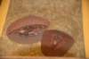 dsc_1115_fs_small.jpg