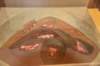dsc_1119_fs_small.jpg