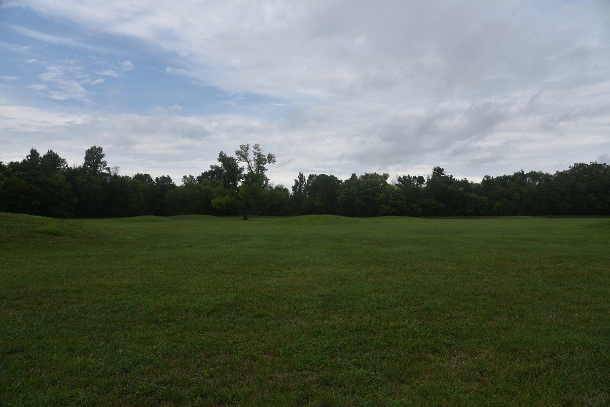dsc_1341_fs.jpg