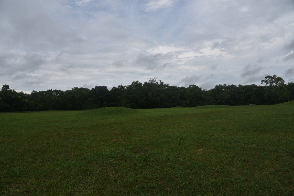 dsc_1343_fs.jpg