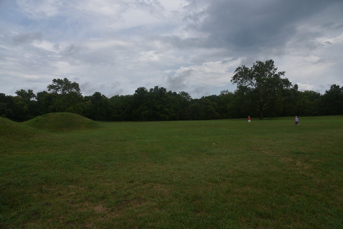 dsc_1352_fs.jpg