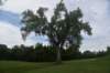 dsc_1363_fs_small.jpg
