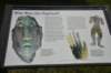 dsc_1375_fs_small.jpg