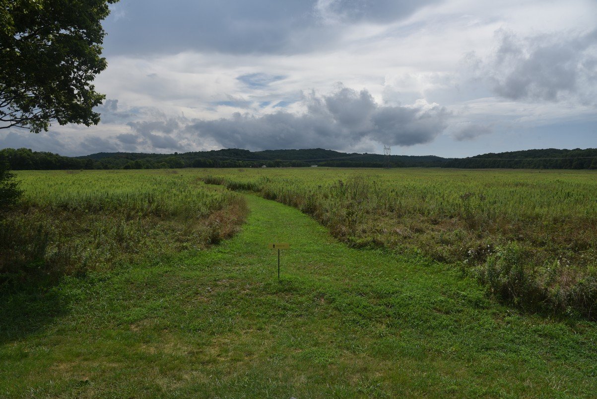 dsc_1379_fs.jpg