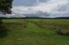 dsc_1379_fs_small.jpg