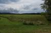 dsc_1380_fs_small.jpg