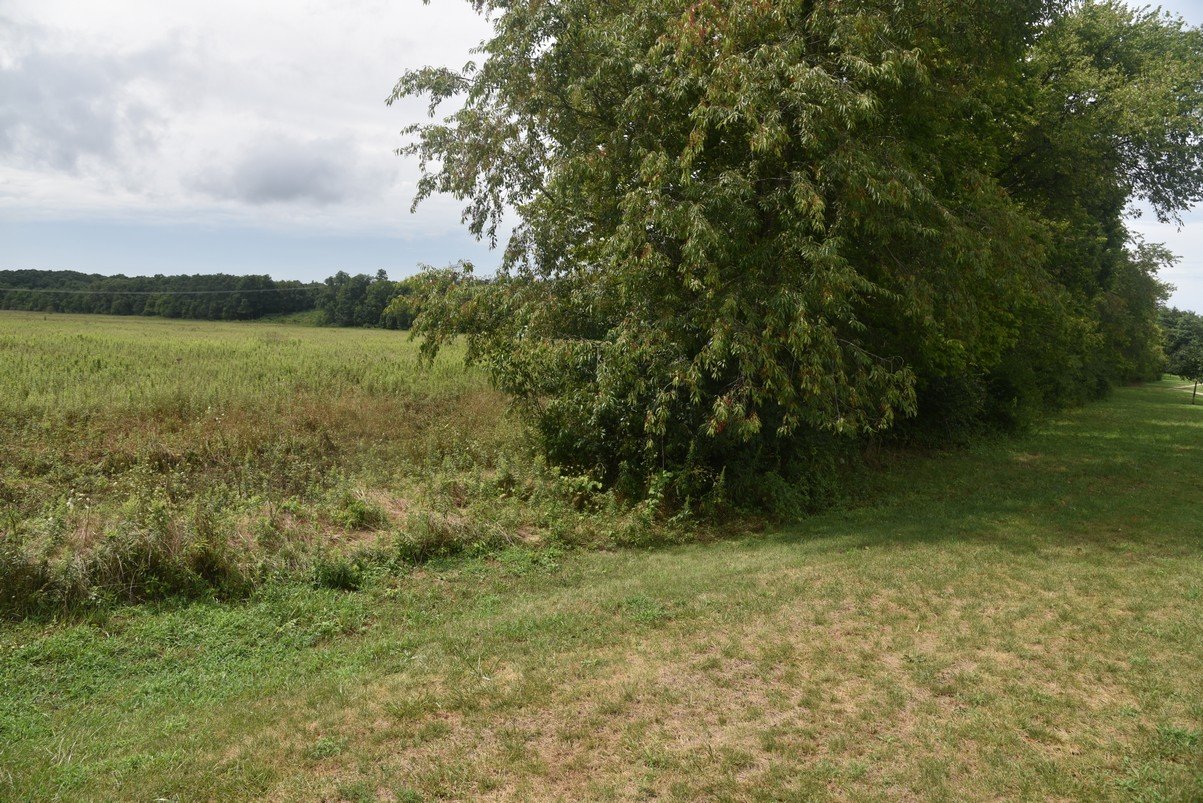 dsc_1381_fs.jpg