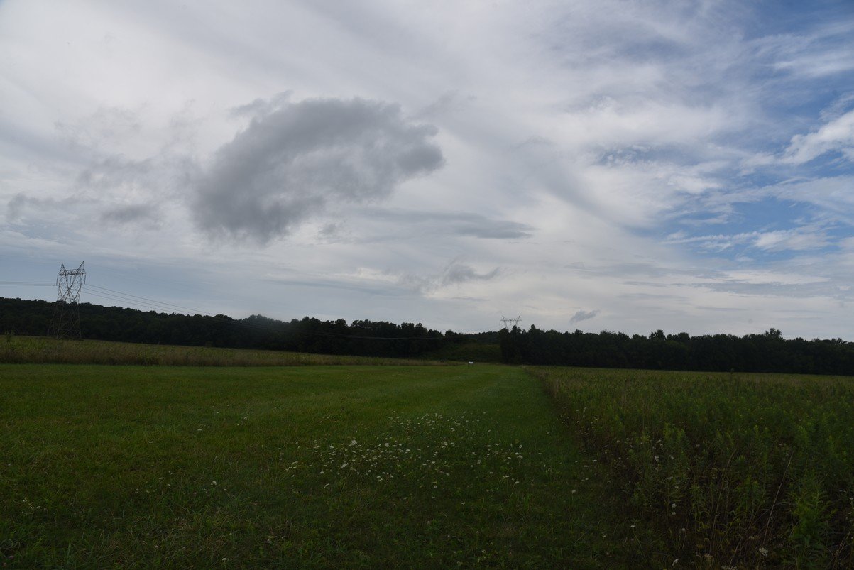 dsc_1393_fs.jpg