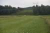 dsc_1394_fs_small.jpg