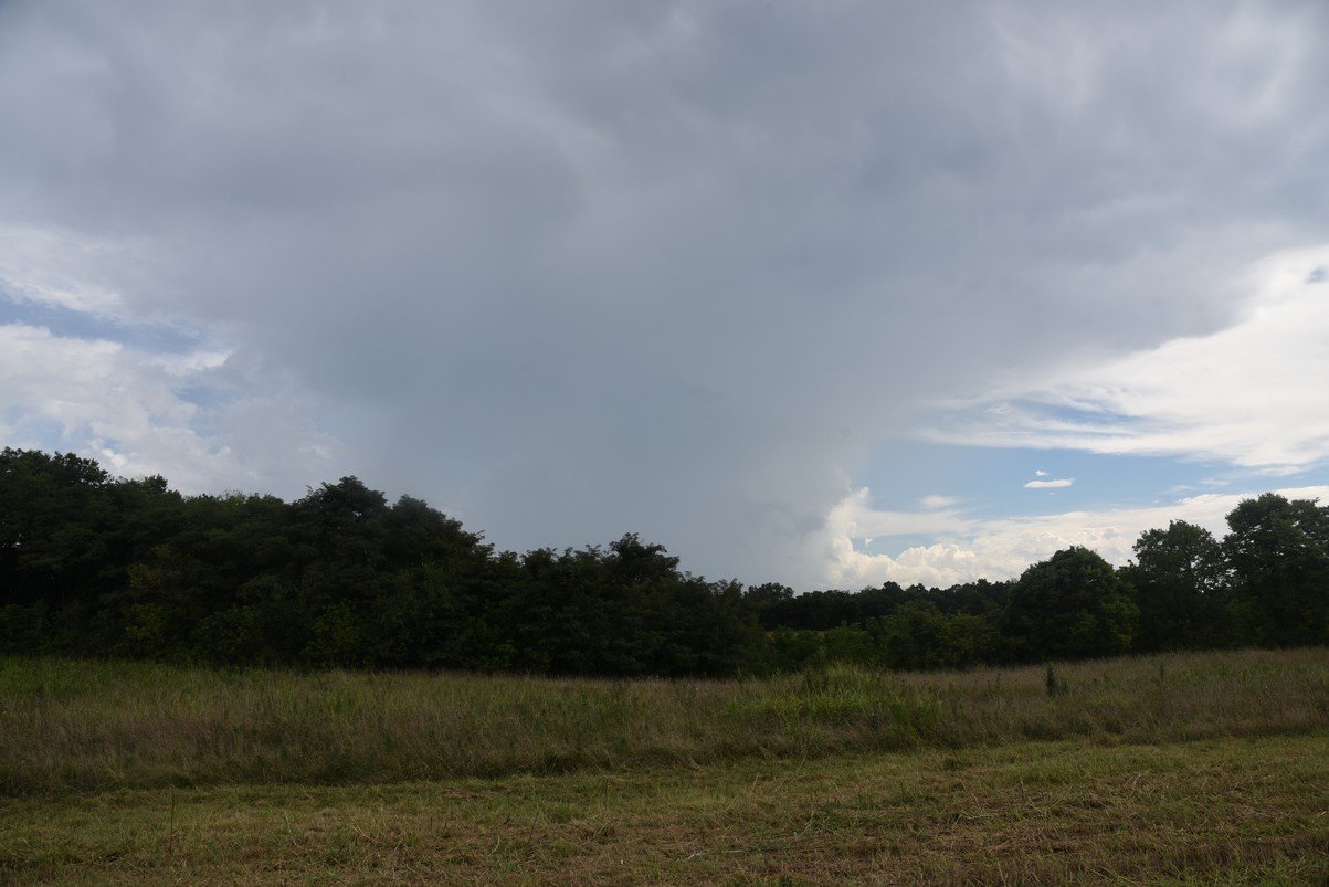 dsc_1400_fs.jpg