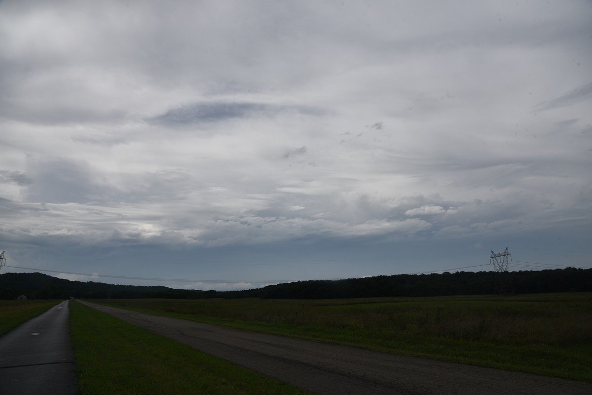 dsc_1403_fs.jpg
