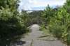 dsc_1588_fs_small.jpg