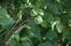 dsc_1589_fs_small.jpg