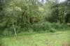 dsc_1791_fs_small.jpg