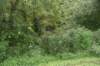 dsc_1792_fs_small.jpg