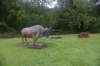 dsc_1793_fs_small.jpg