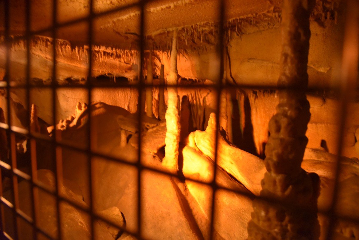 dsc_1900_fs.jpg