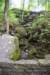 dsc_1924_fs_small.jpg