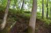 dsc_1927_fs_small.jpg