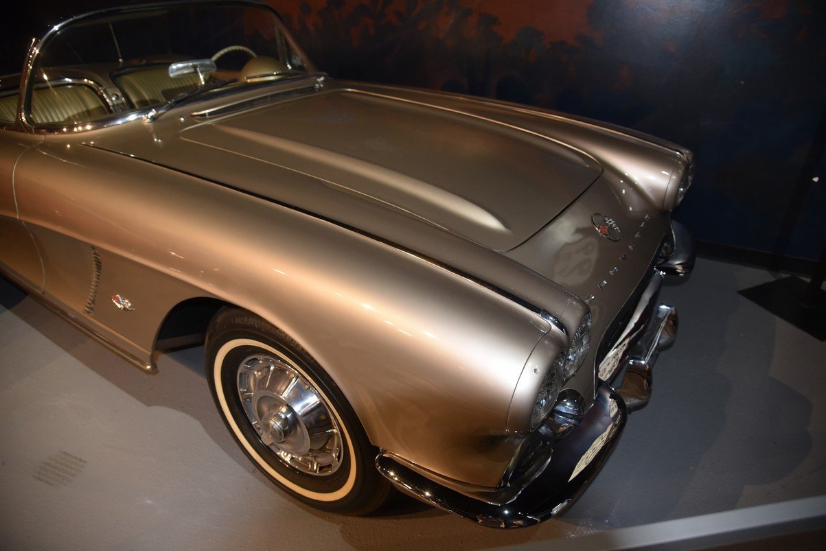 dsc_1990_fs.jpg