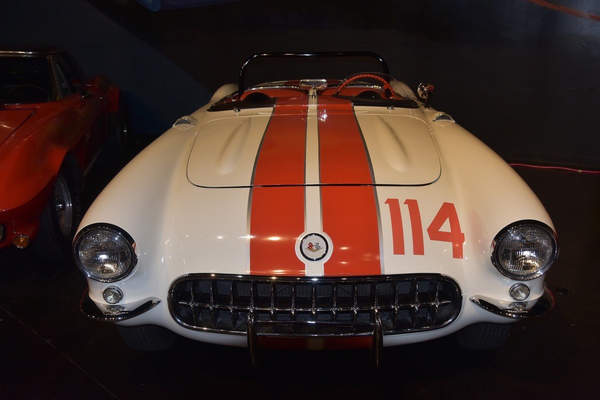 dsc_2013_fs.jpg