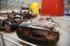 dsc_2096_fs_small.jpg
