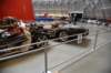 dsc_2101_fs_small.jpg
