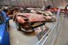dsc_2106_fs_small.jpg