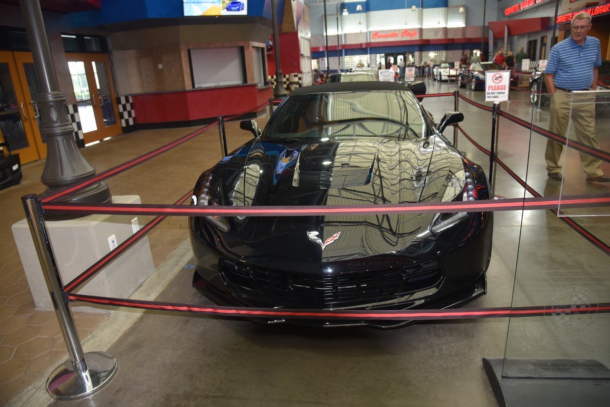 dsc_2176_fs.jpg