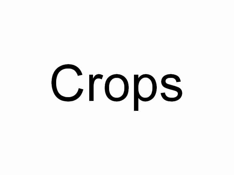 crops.jpg