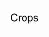 crops_small.jpg