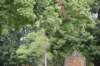 dsc_2232_fs_small.jpg