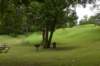 dsc_2255_fs_small.jpg